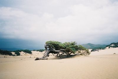 Scenic view of landscape against cloudy sky