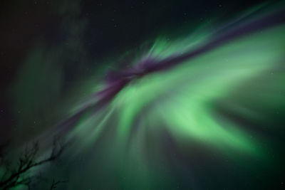 Low angle view of sky at night