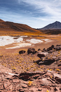 Scenic view of desert against sky