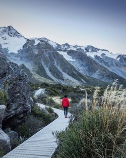 Rear view of person standing on snow covered mountain