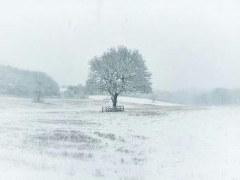 Scenic view of snow covered field