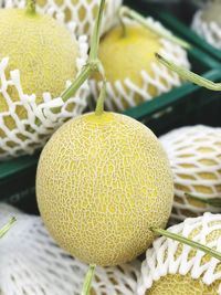Close-up of melons for sale at market