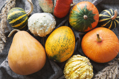 Autumn composition, cozy fall season, pumpkins and leaves on textile background. 