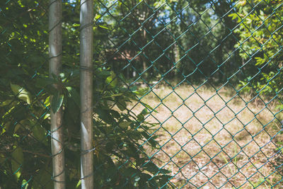 Close-up of chainlink fence