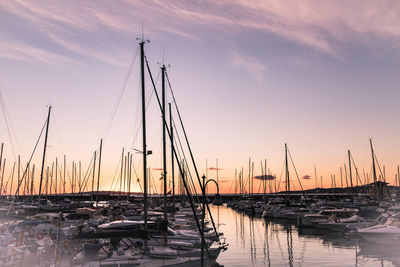 Sailboats in marina at sunset