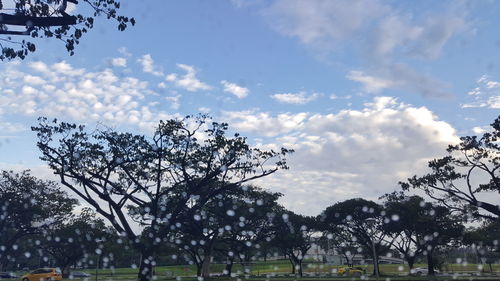 Scenic view of grassy field against cloudy sky