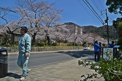 Man standing by tree against clear sky