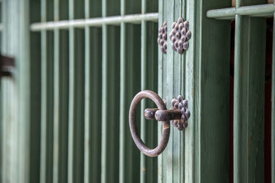 Doorknob on gate of royal tomb in seonjeongneung