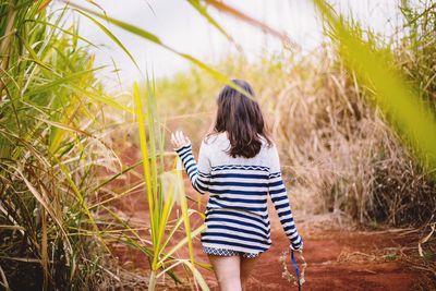 Rear view of woman holding tiara walking on pathway amidst plants