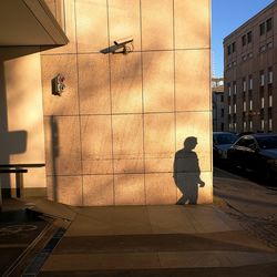 Rear view of woman walking on street