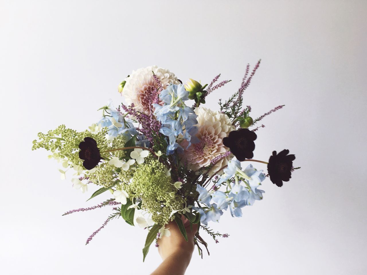 flower, freshness, close-up, bunch of flowers, fragility, multi colored, white background, leaf, blossom, bouquet, studio shot, vase, decoration, plant, beauty in nature, nature, in bloom, growth, green color, botany, flower head, flower arrangement, petal, springtime, bunch