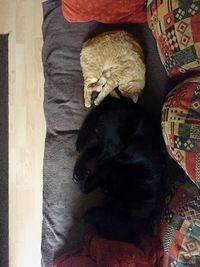 Close-up of human feet