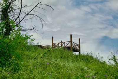 Plants growing on field against sky