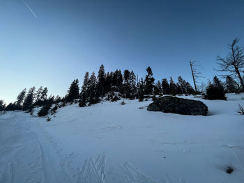 Scenic view of snow covered field against sky