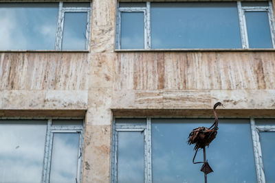 Low angle view of bird perching on building