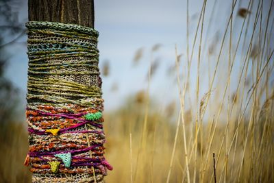 Close-up of multi colored stack against blurred background