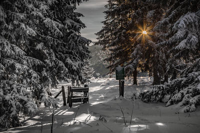 Trees on snow covered landscape against sky