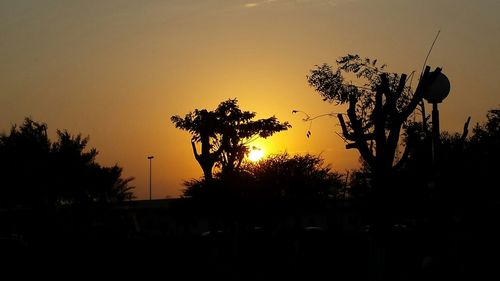 Silhouette trees against sky during sunset