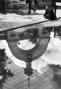 Reflection of trees in water