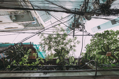 Low angle view of potted plants against cloudy sky