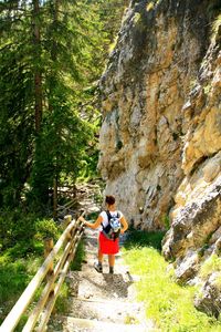 Rear view of woman standing on rock in forest