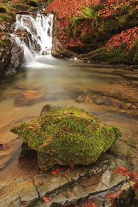 Scenic view of waterfall