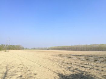 Scenic view of field against clear blue sky