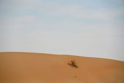 Scenic view of desert against sky