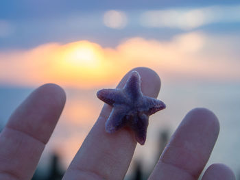 Close-up of human hand holding star fish during sunset