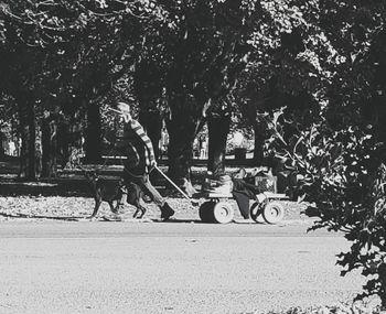 People on road against trees in city