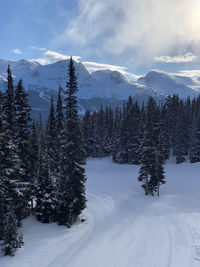 Snowcapped mountains against sky on whistler blackcomb ski resort