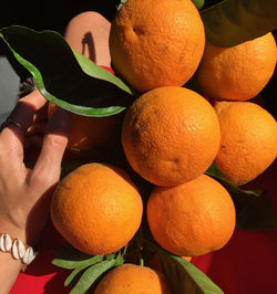 Close-up of hand holding orange