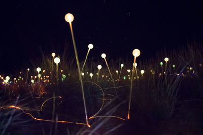 Illuminated street light in city at night