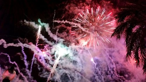 Low angle view of firework display at night