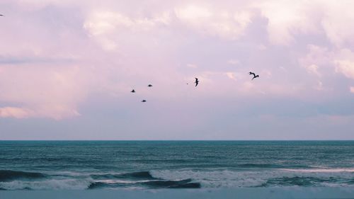 Birds flying over sea against sky