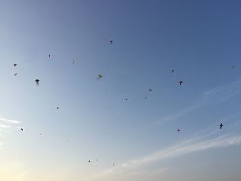 Low angle view of birds flying in sky