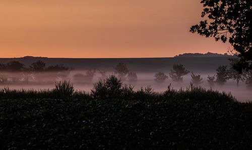 Scenic view of forest against orange sky
