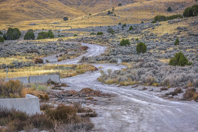 Scenic view of stream flowing through field