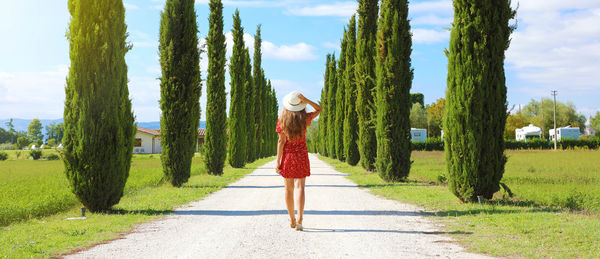 Rear view of woman standing on road amidst trees against sky