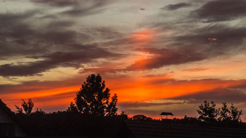 Silhouette trees on field against dramatic sky