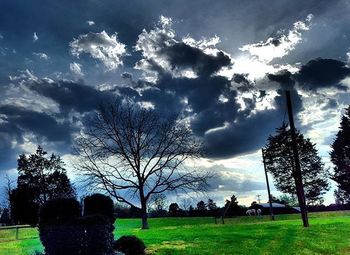 Trees on field against cloudy sky