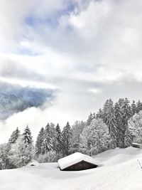 Snow covered land and trees against sky