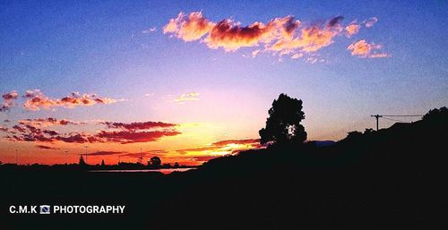 Silhouette trees against sky during sunset