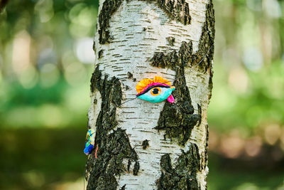 Close-up of bird perching on tree trunk