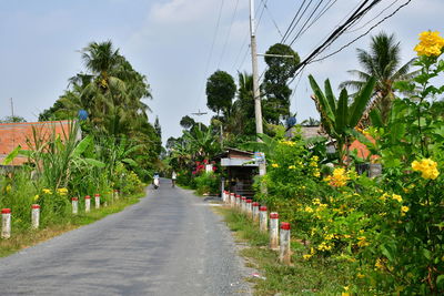 Road amidst plants and trees against sky