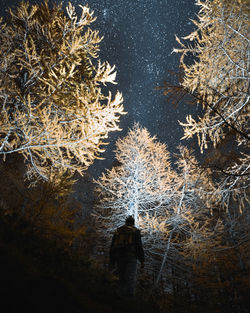 Rear view of man standing in forest during winter