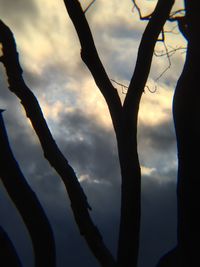 Low angle view of bare tree against cloudy sky