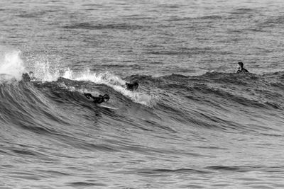 Man surfing in sea