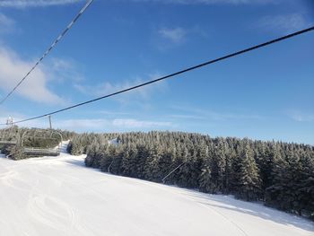 Snow covered road amidst plants against sky