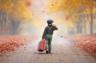 Boy is walking away in the autumn forest with a suitcase and teddy bear